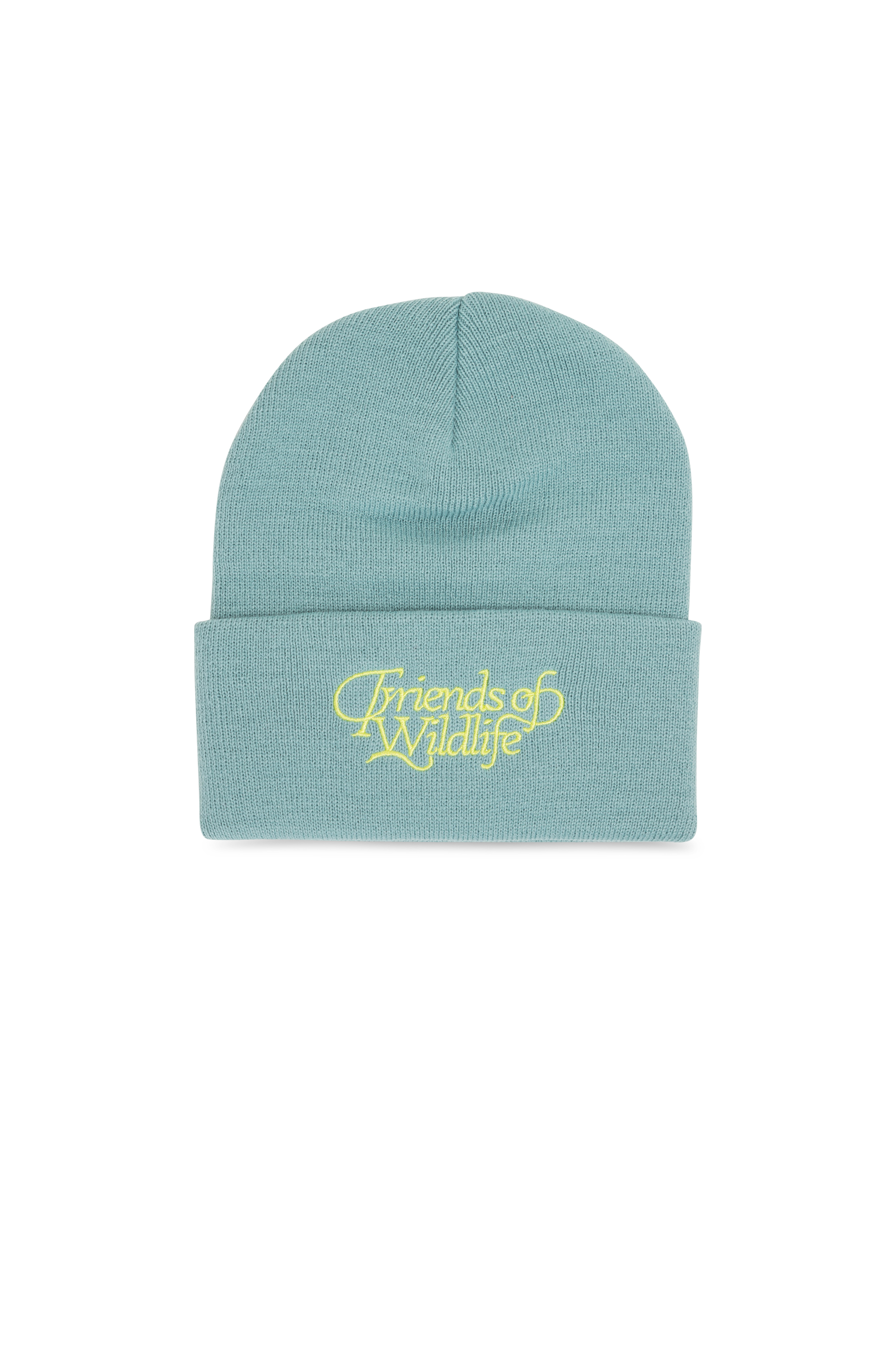 Beanie Green