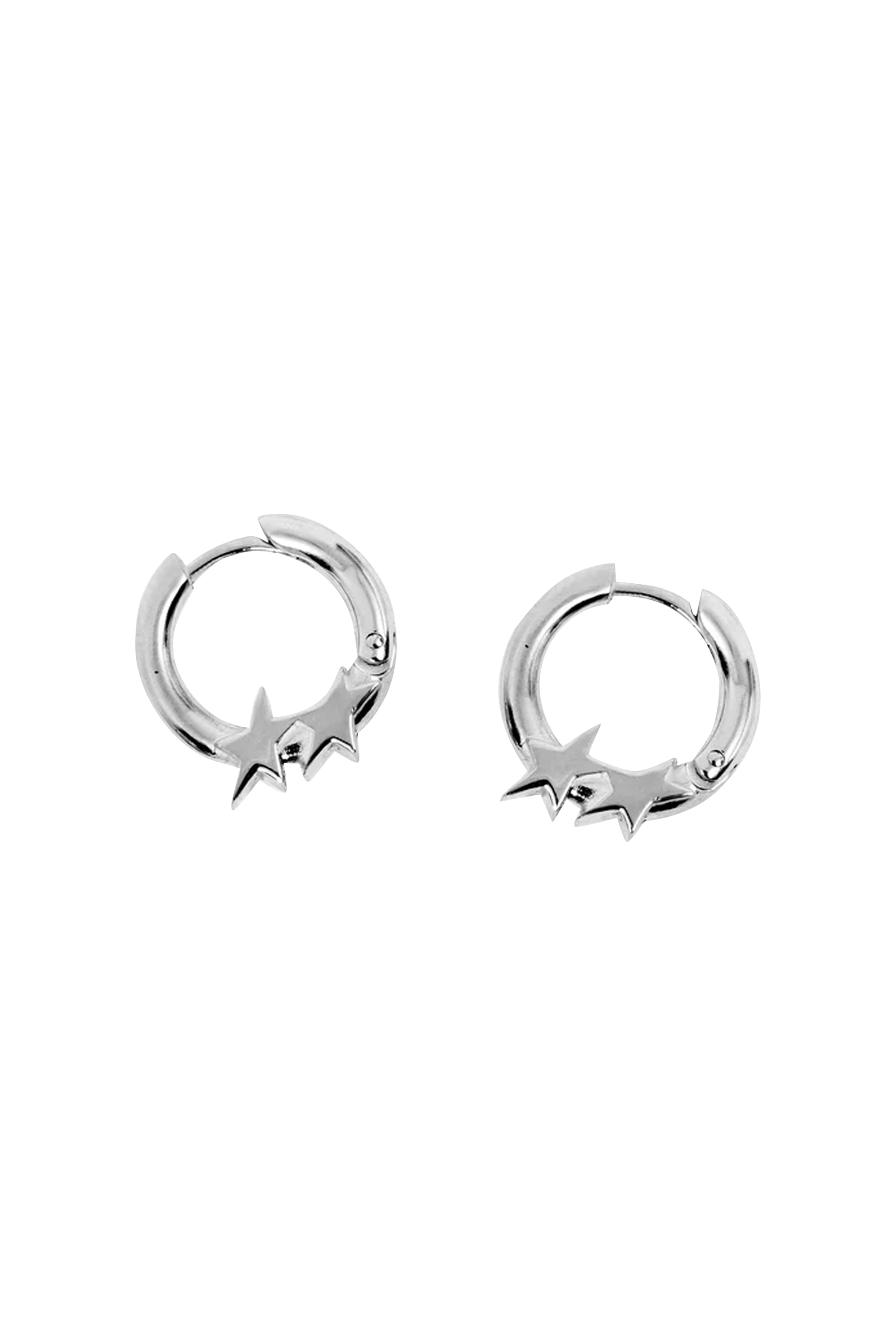 Earrings Silver