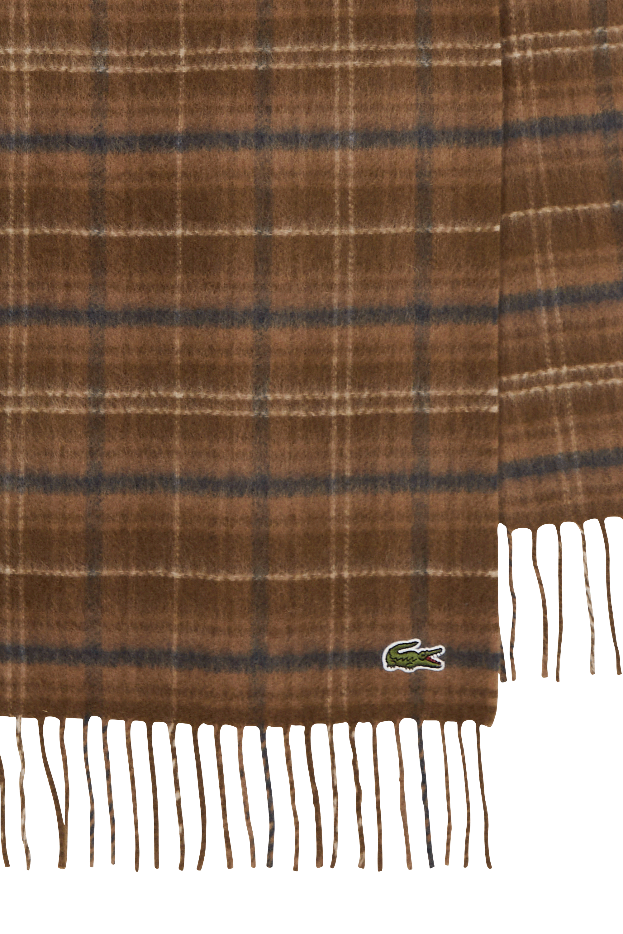 Echarpe | Multicolore LACOSTE Homme