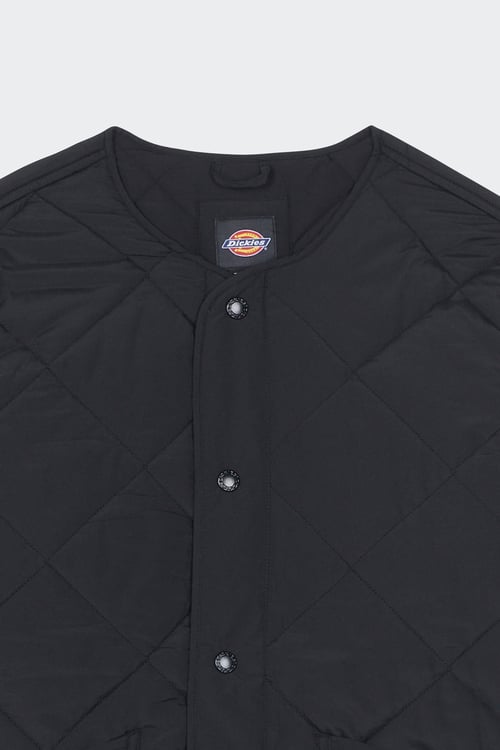 DICKIES Jacket Black