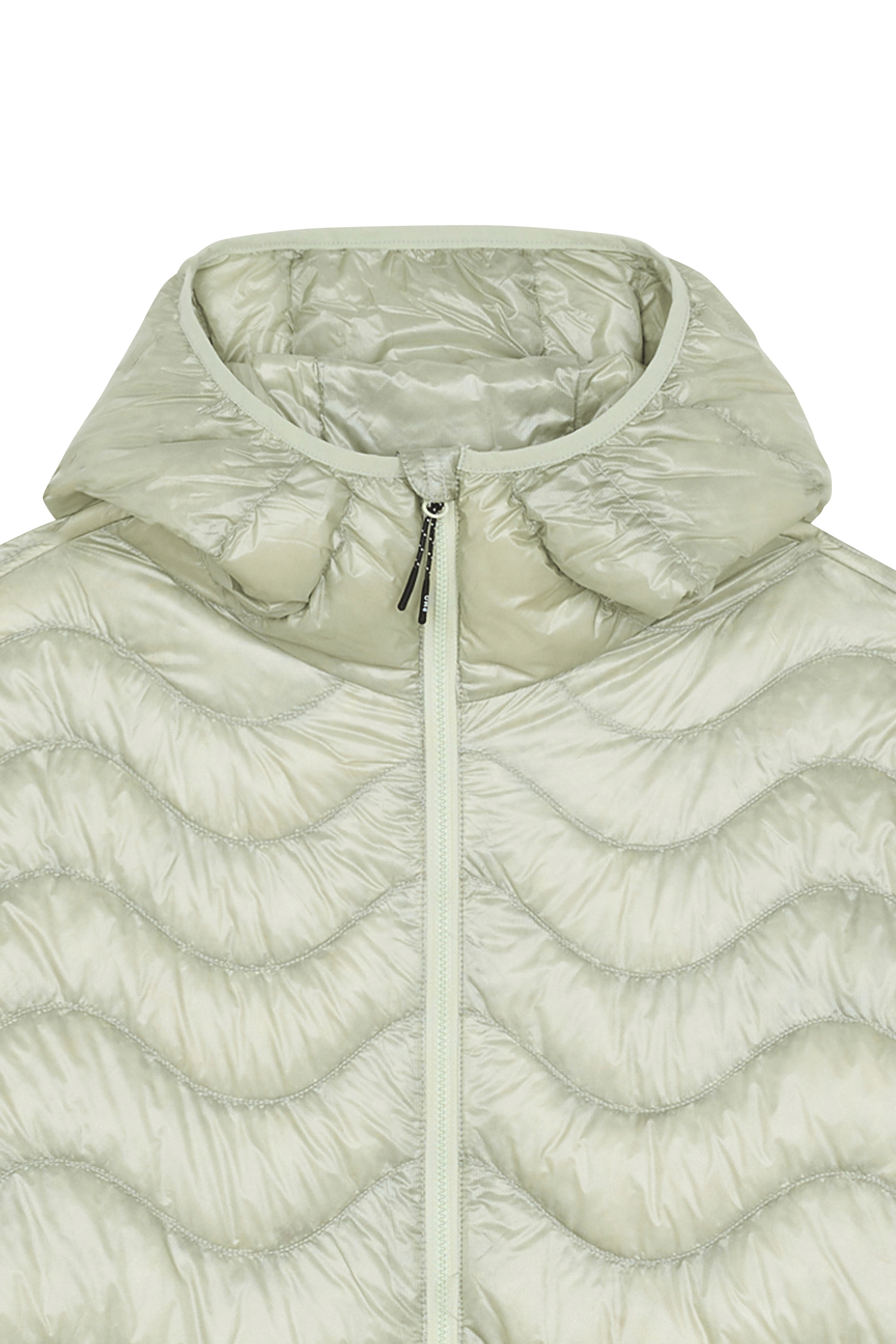 Doudoune | Marron PURPLE MOUNTAIN OBSERVATORY Homme
