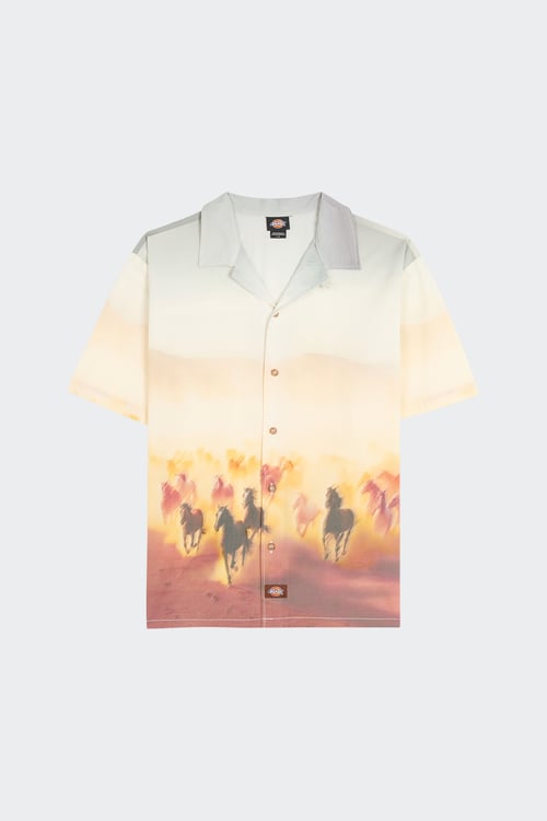 DICKIES T-shirt Yellow