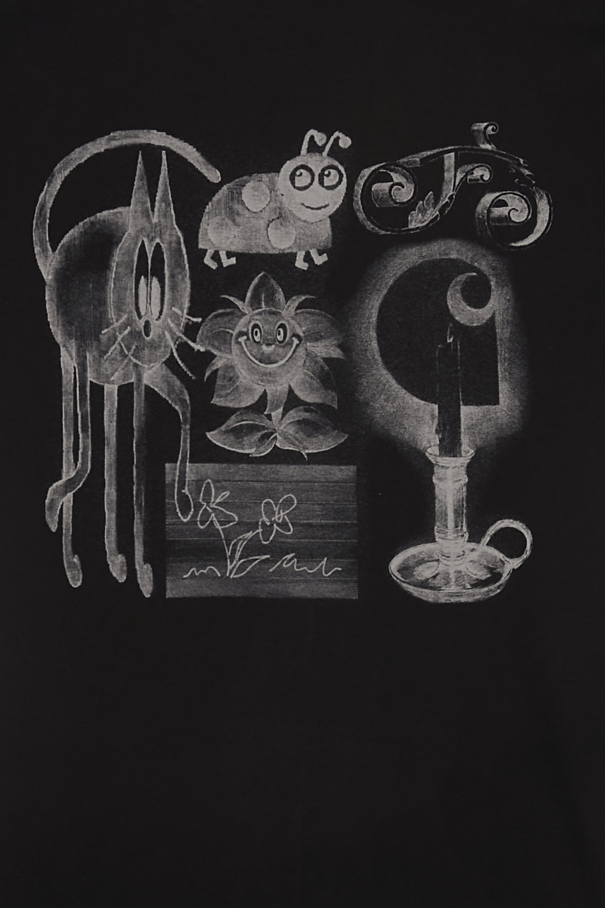 Regular-fit round-neck cotton T-shirt Black