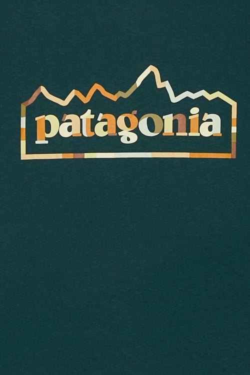 PATAGONIA T-shirt Vert