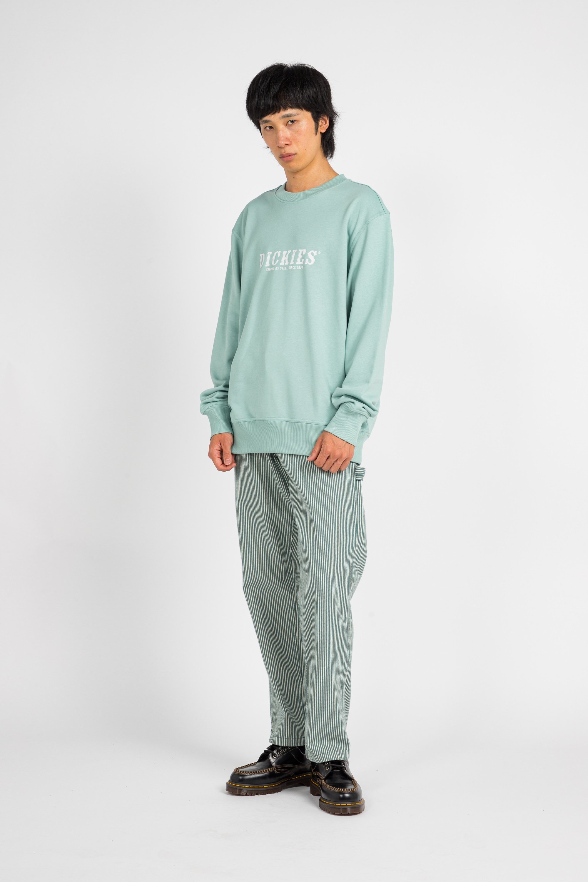 Sweatshirt DICKIES Beige