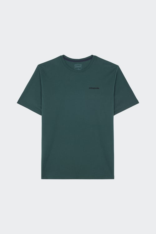 PATAGONIA T-shirt  Vert