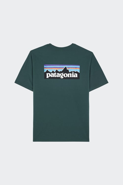 PATAGONIA T-shirt  Vert