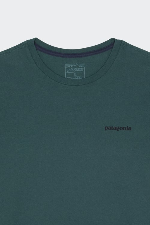 PATAGONIA T-shirt  Vert