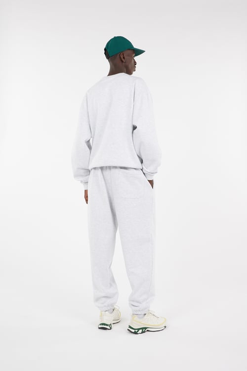 THE NORTH FACE Pantalon de survêtement Gris