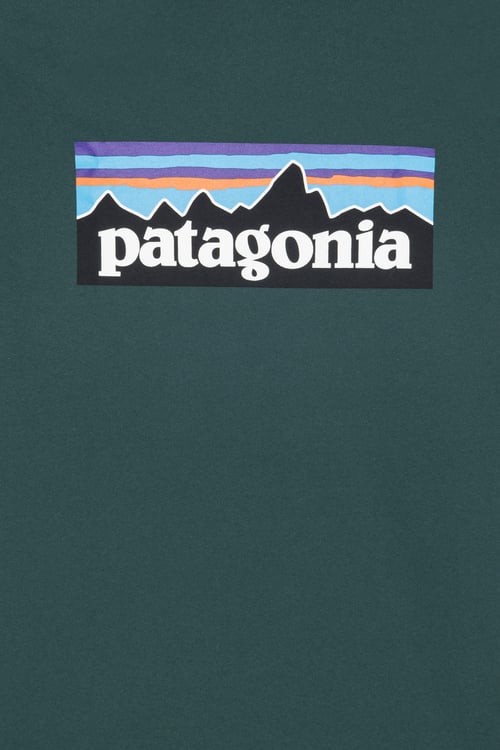 PATAGONIA T-shirt  Vert