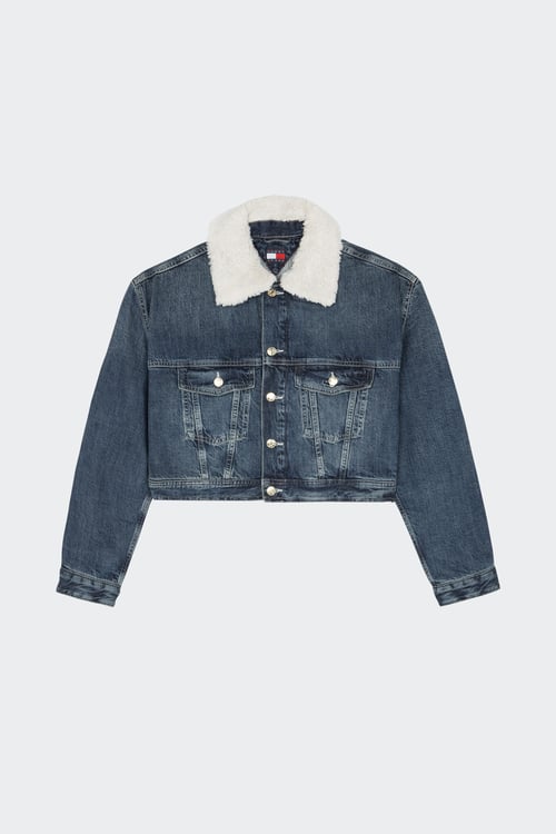 TOMMY JEANS Veste Bleu