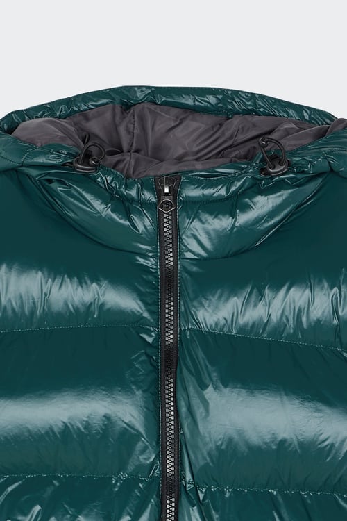SCHOTT Lightweight quilted padded jacket with high neck Green