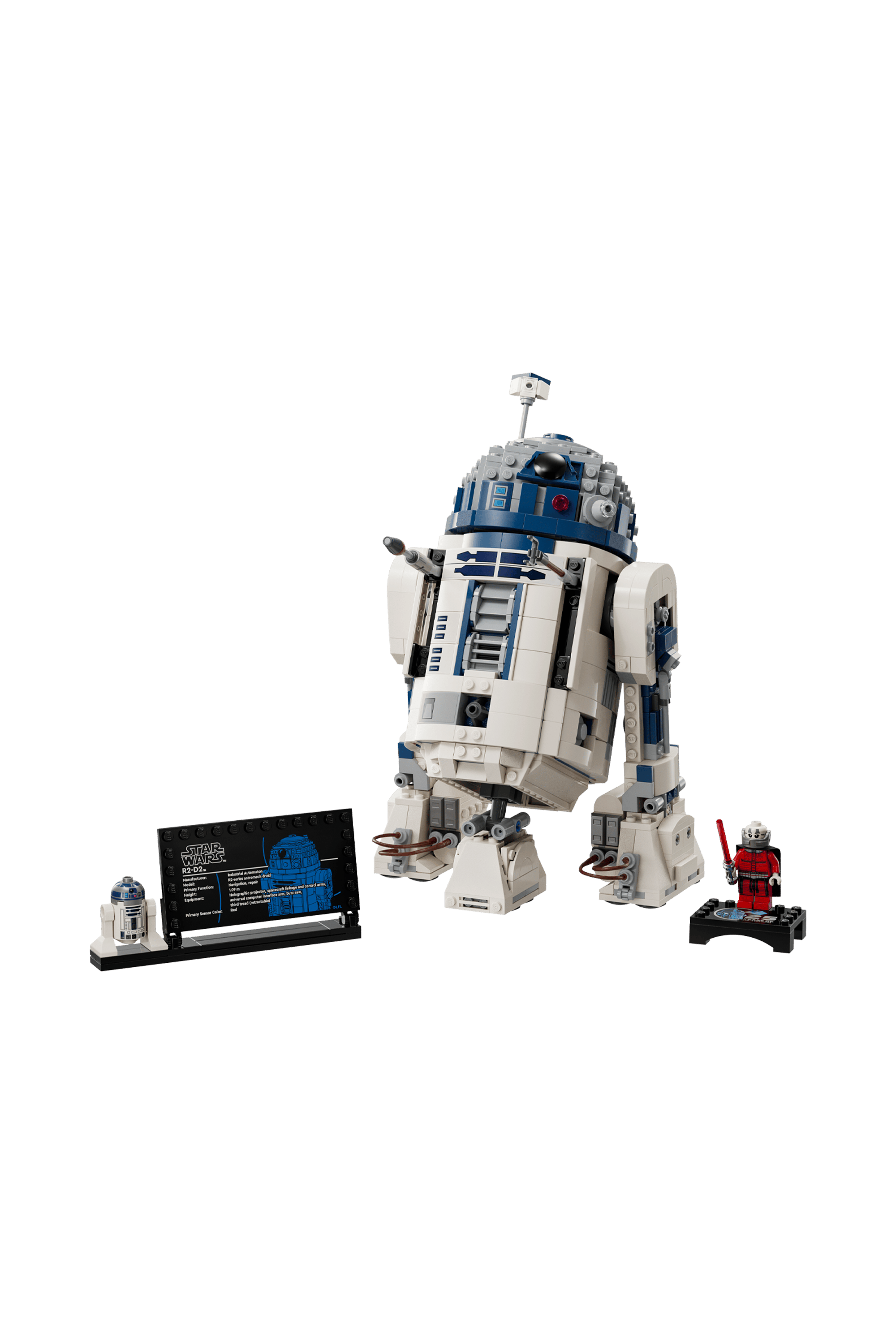 Jeu | Multicolore LEGO Femme