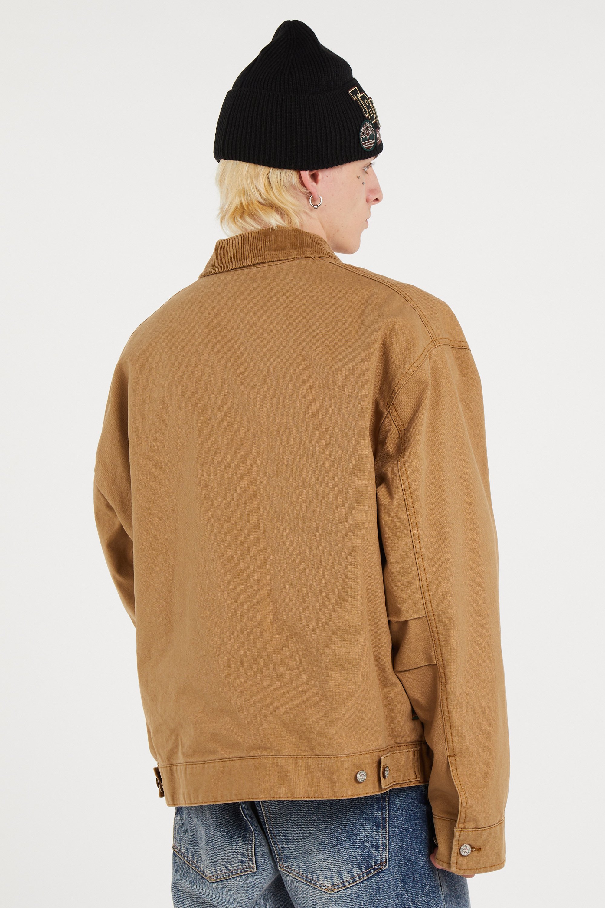 Veste | Beige TIMBERLAND Homme