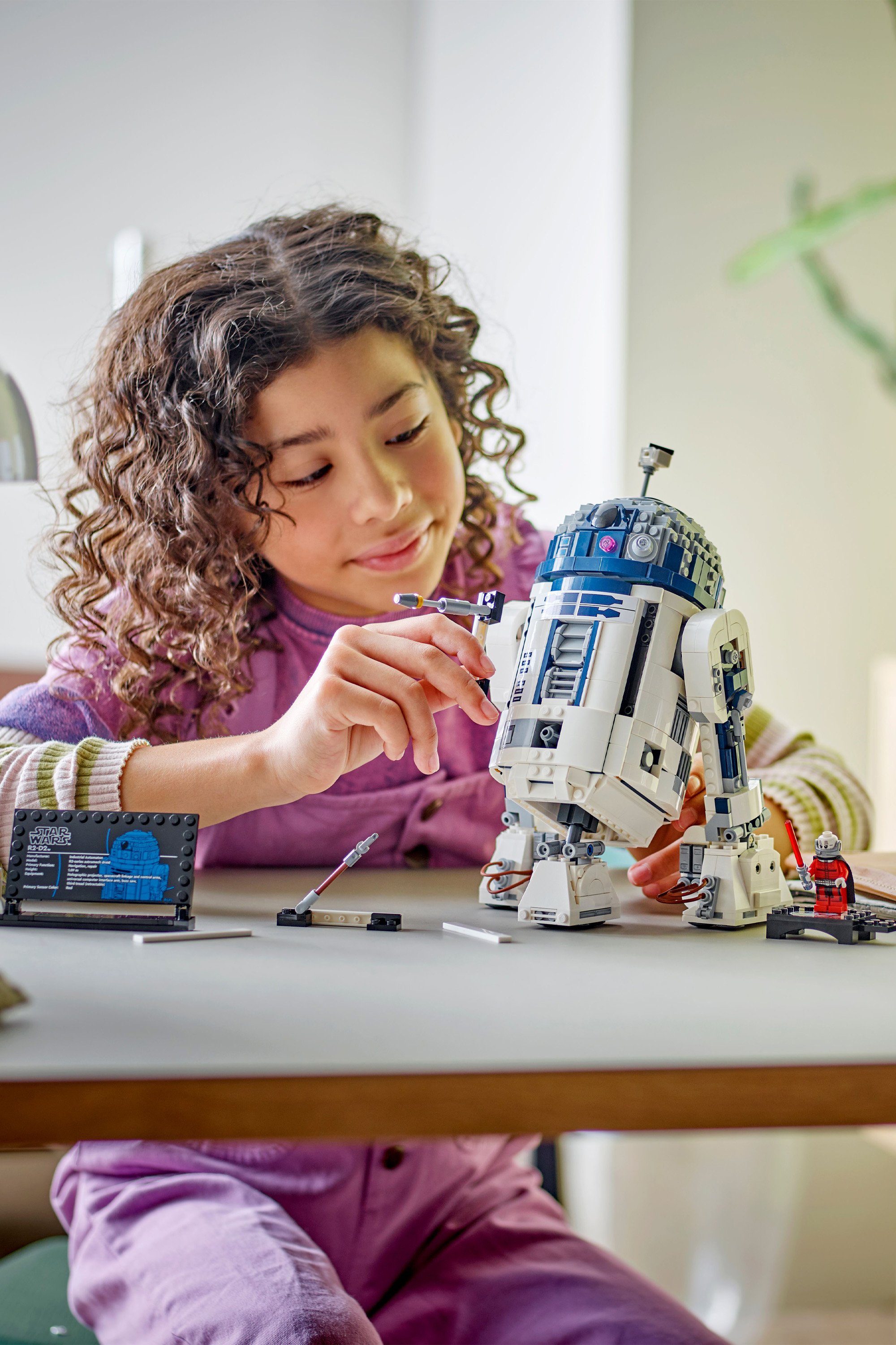 Jeu | Multicolore LEGO Femme