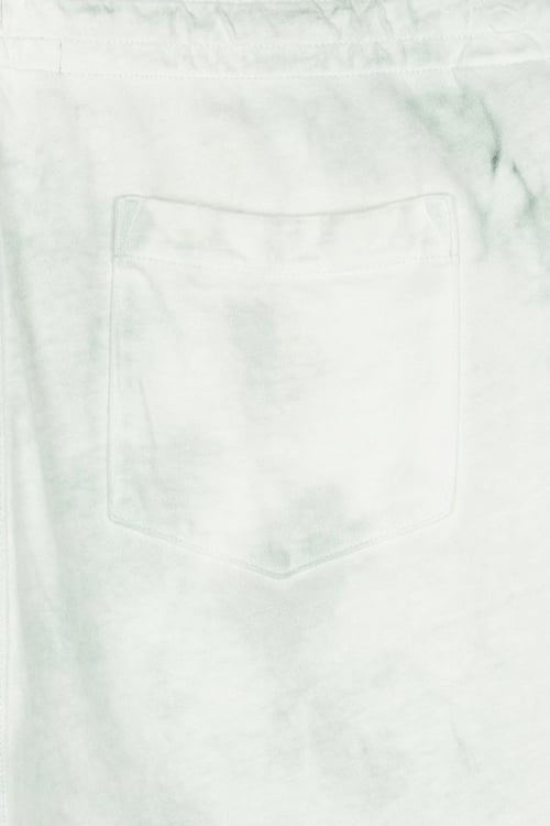 POLO RALPH LAUREN Shorts Green