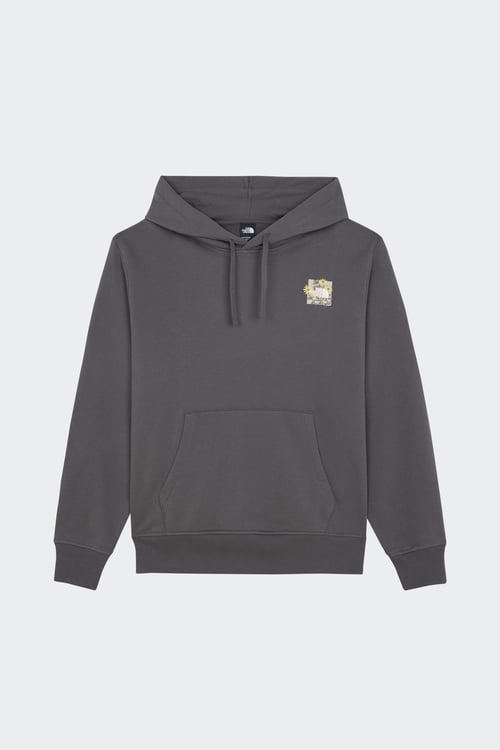 THE NORTH FACE Hoodie Gris