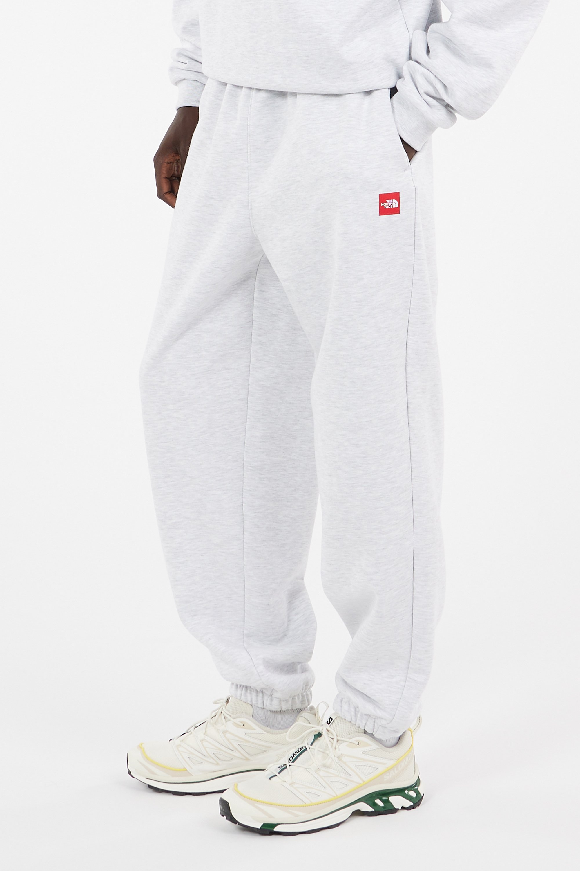 THE NORTH FACE Pantalon de survêtement Gris