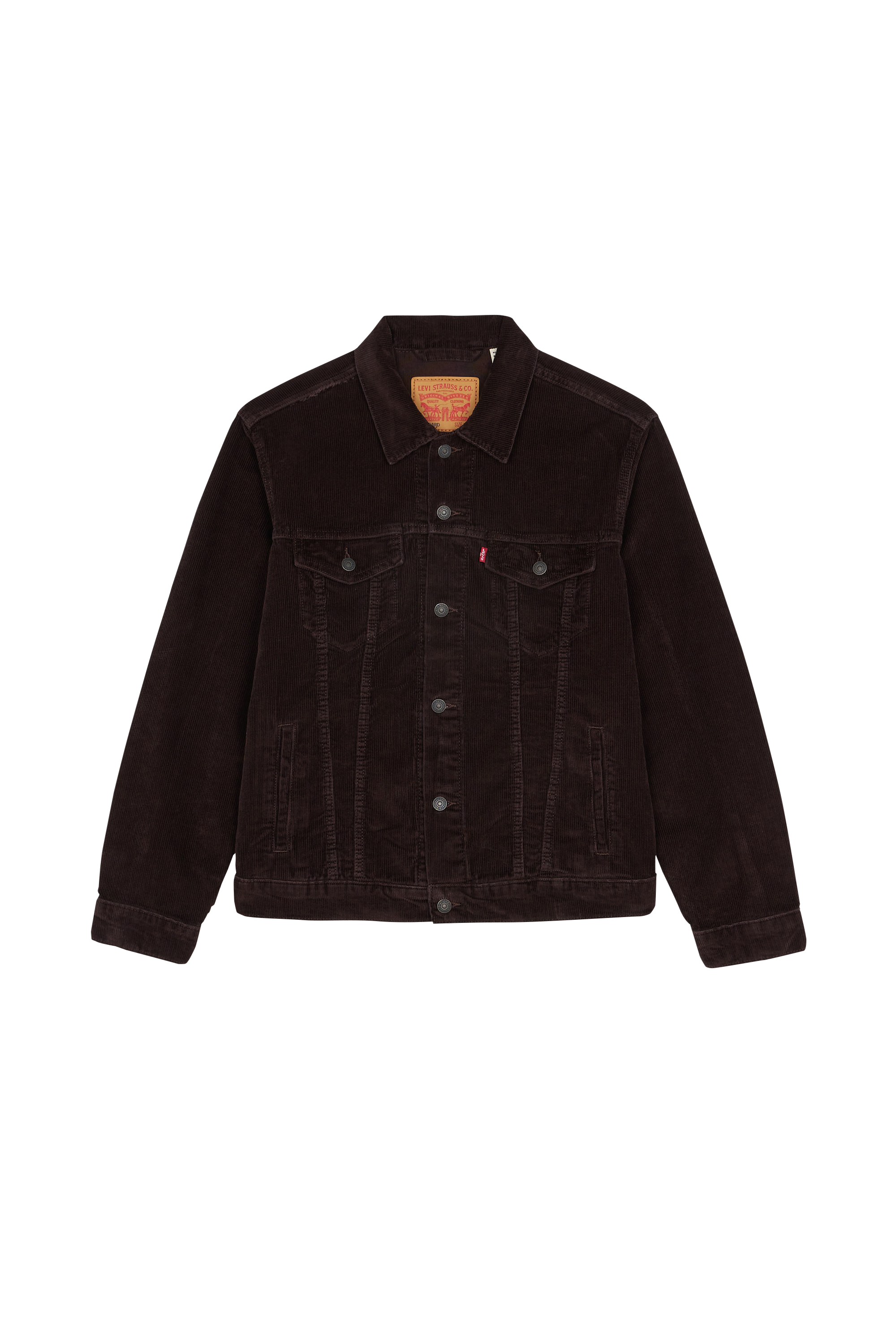 Veste Marron