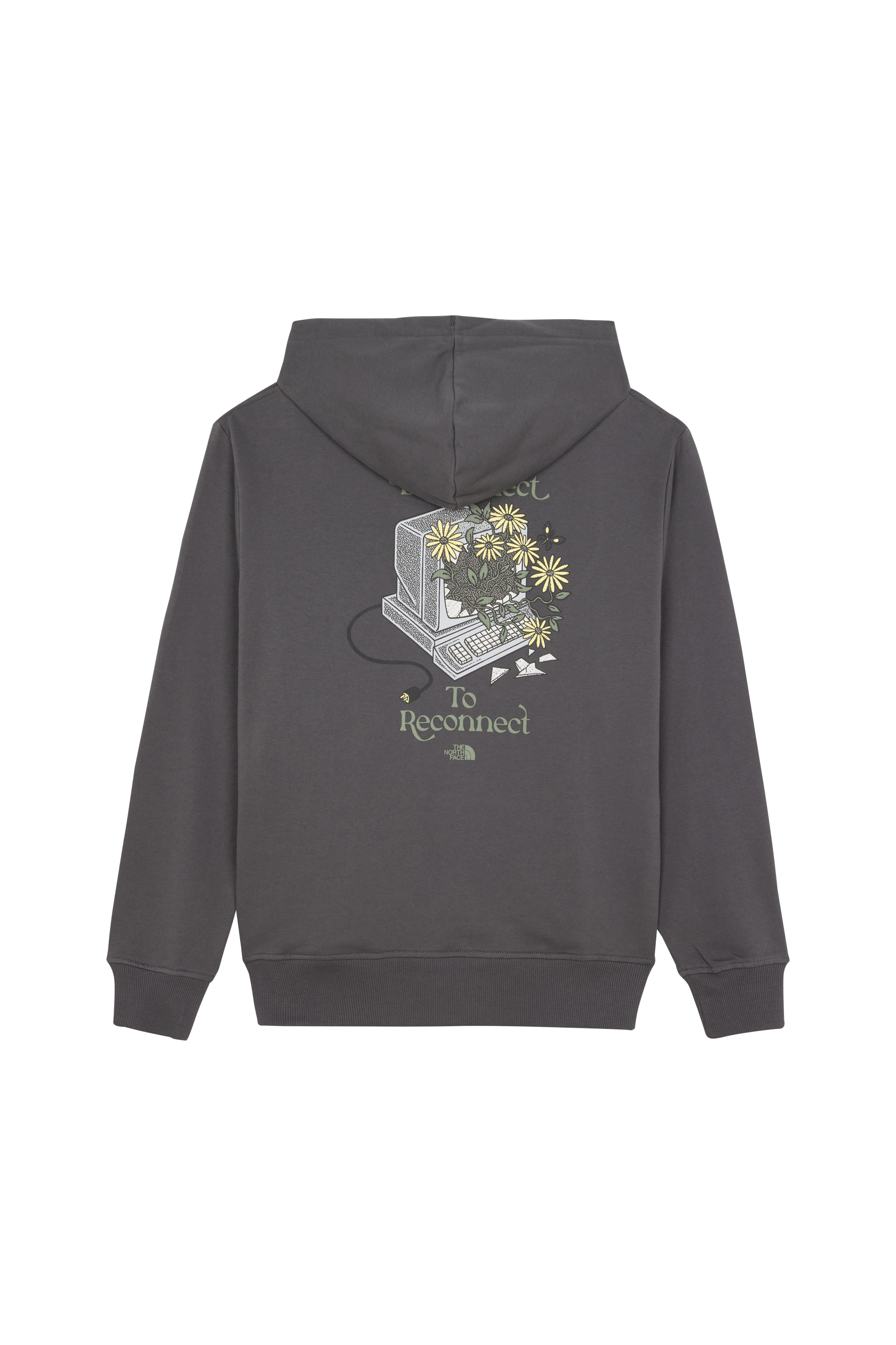 THE NORTH FACE Hoodie Gris