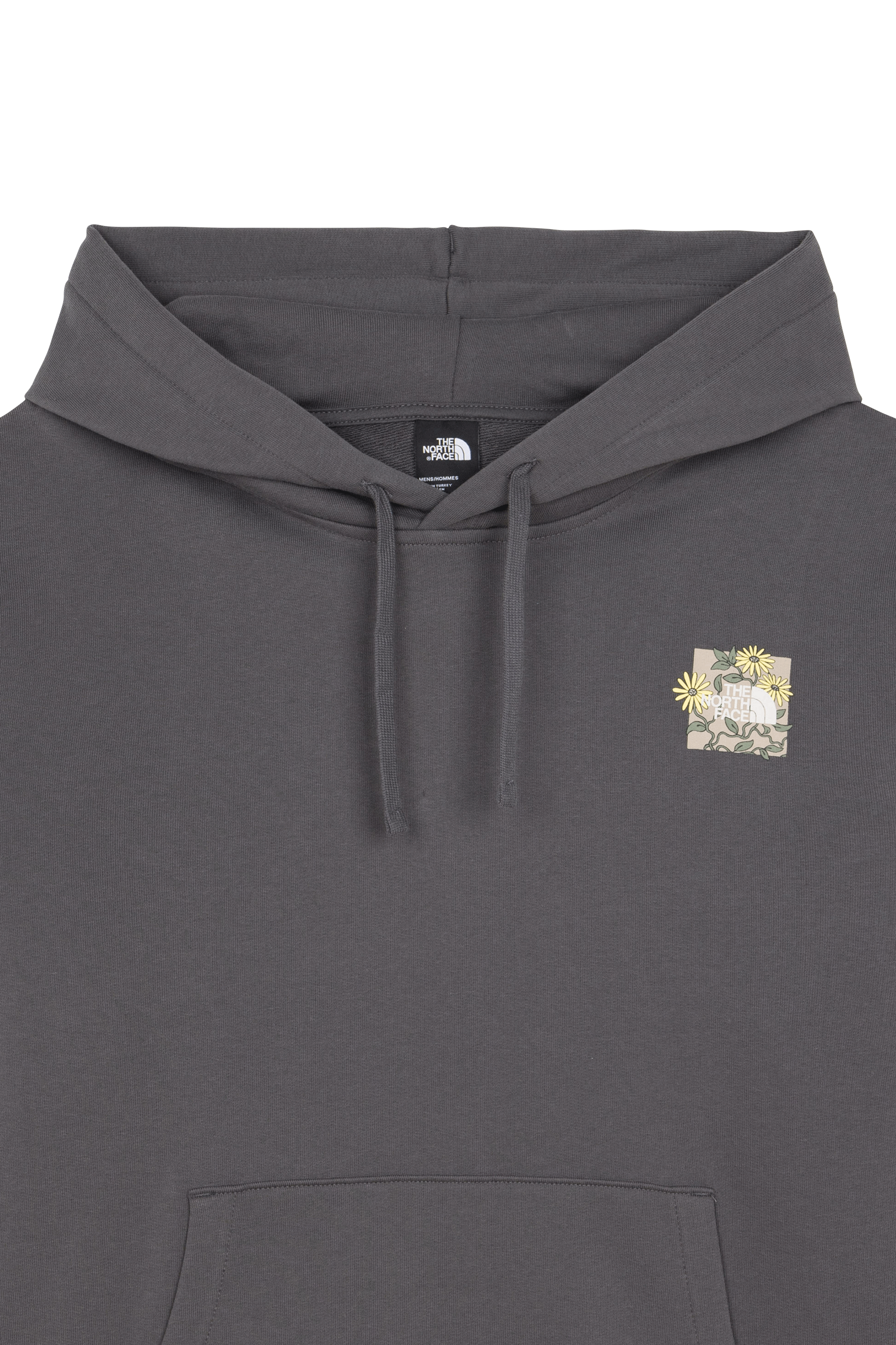 THE NORTH FACE Hoodie Gris