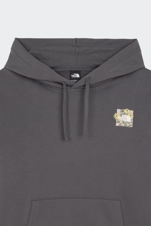 THE NORTH FACE Hoodie Gris