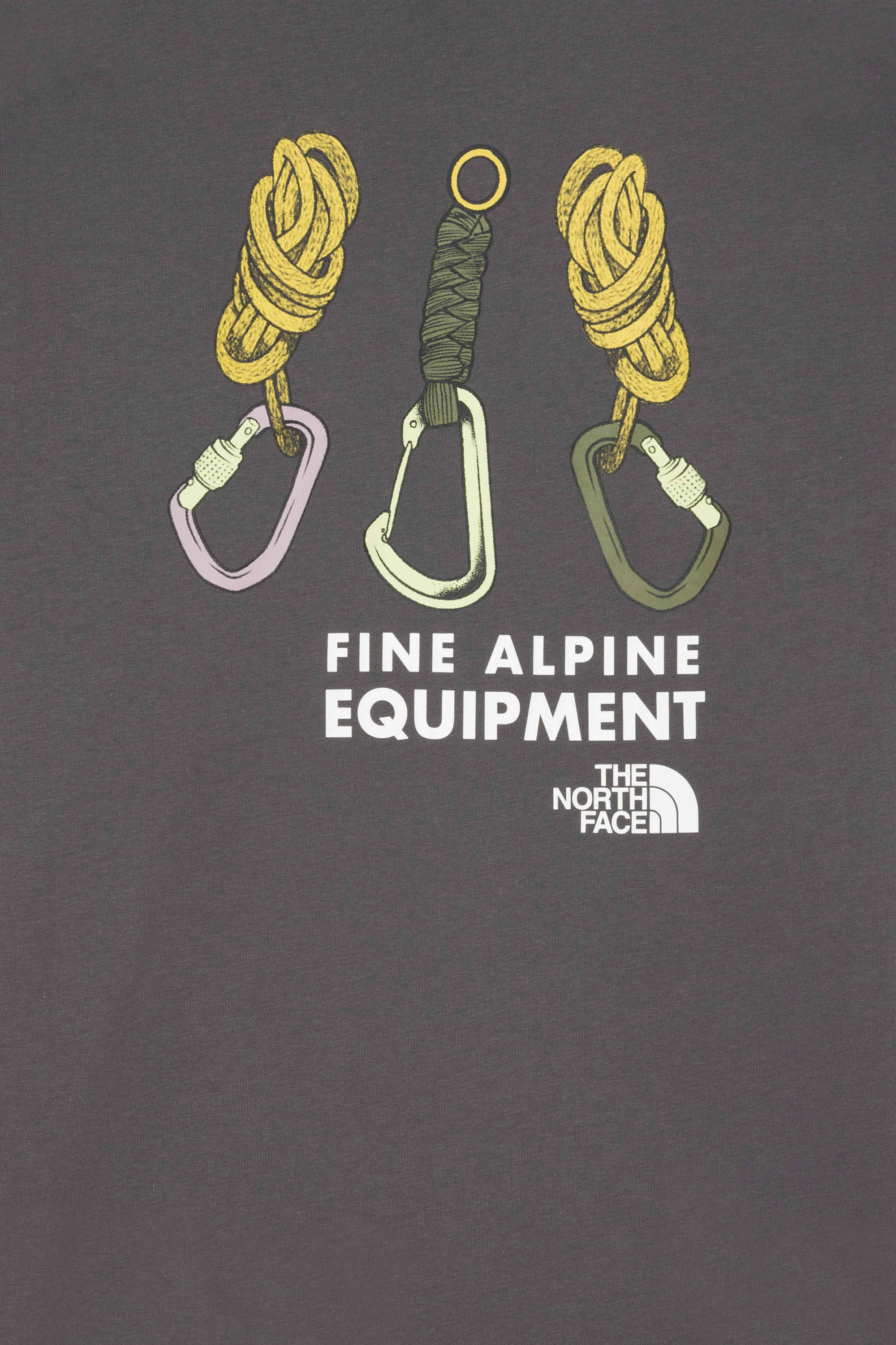 THE NORTH FACE T-shirt Gris