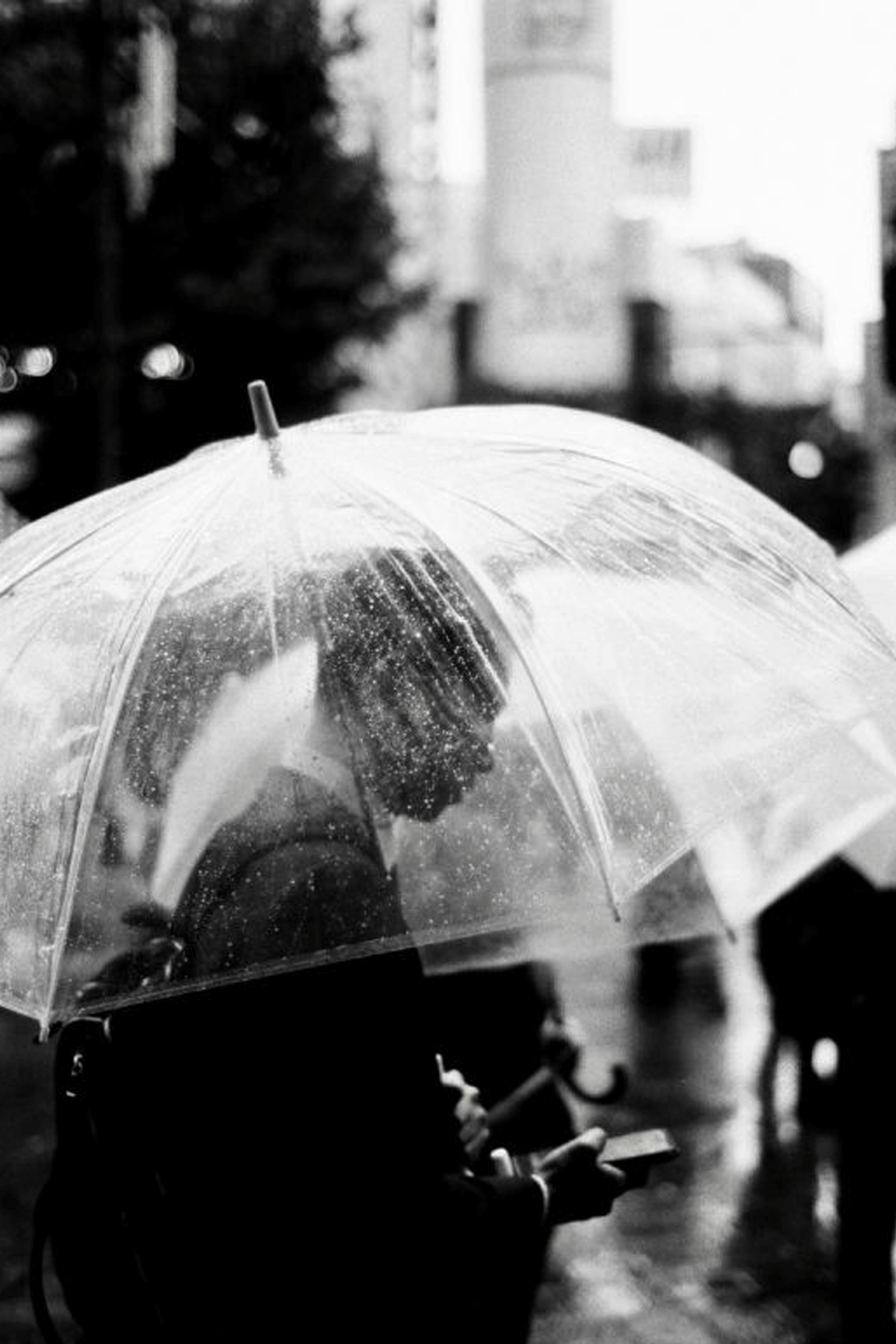 Film Black