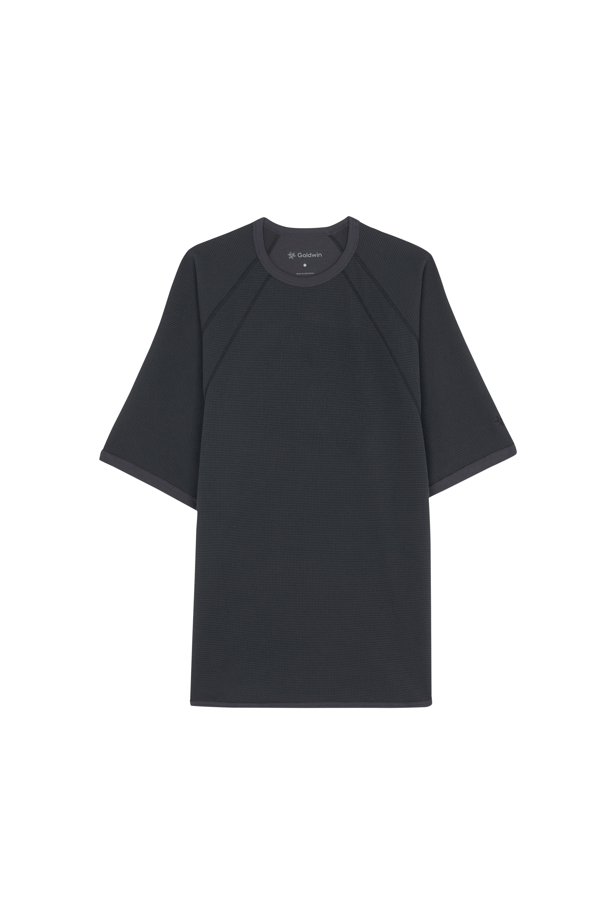 T-shirt GOLDWIN Gris