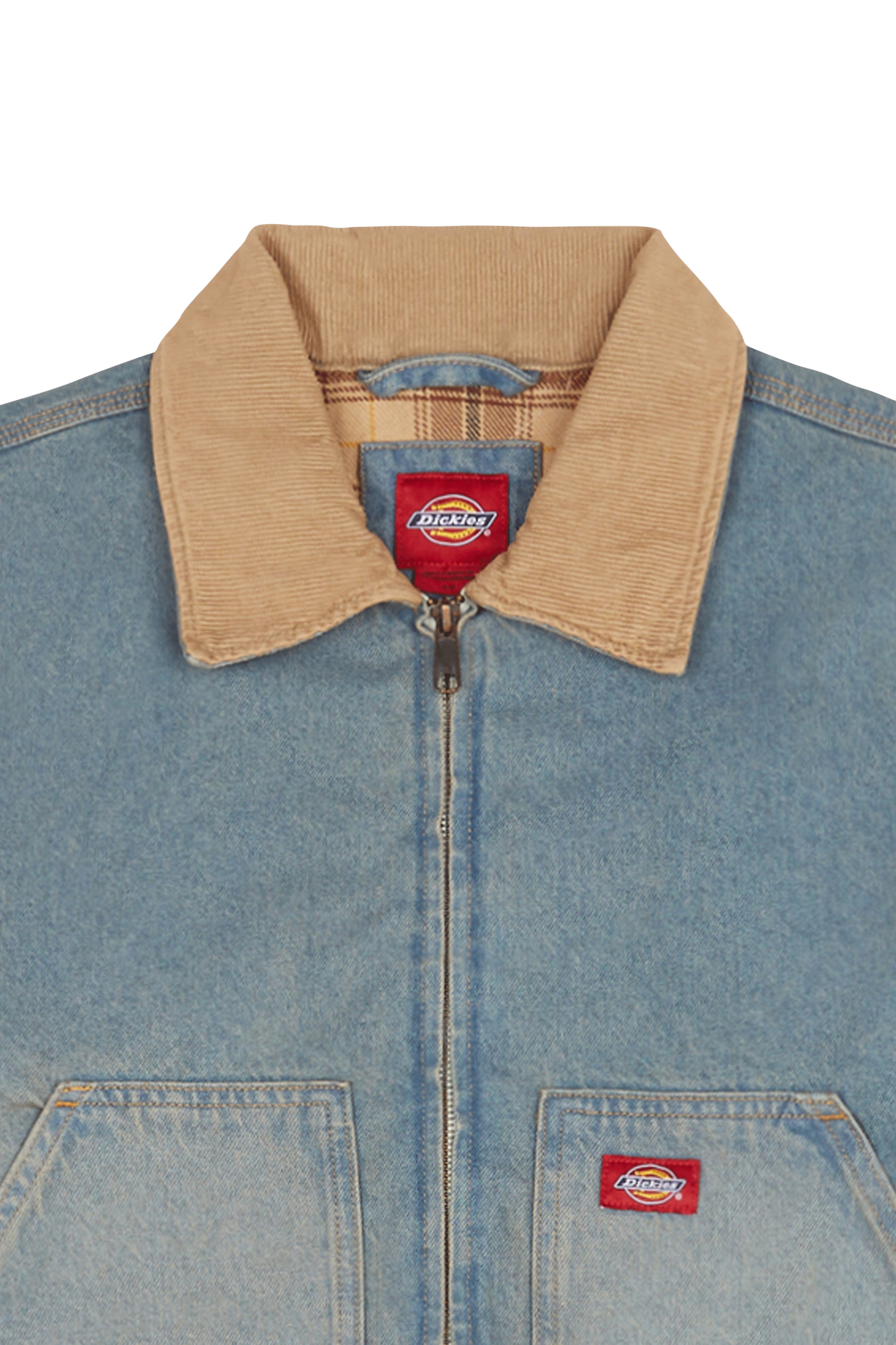 Blouson | Bleu DICKIES Femme