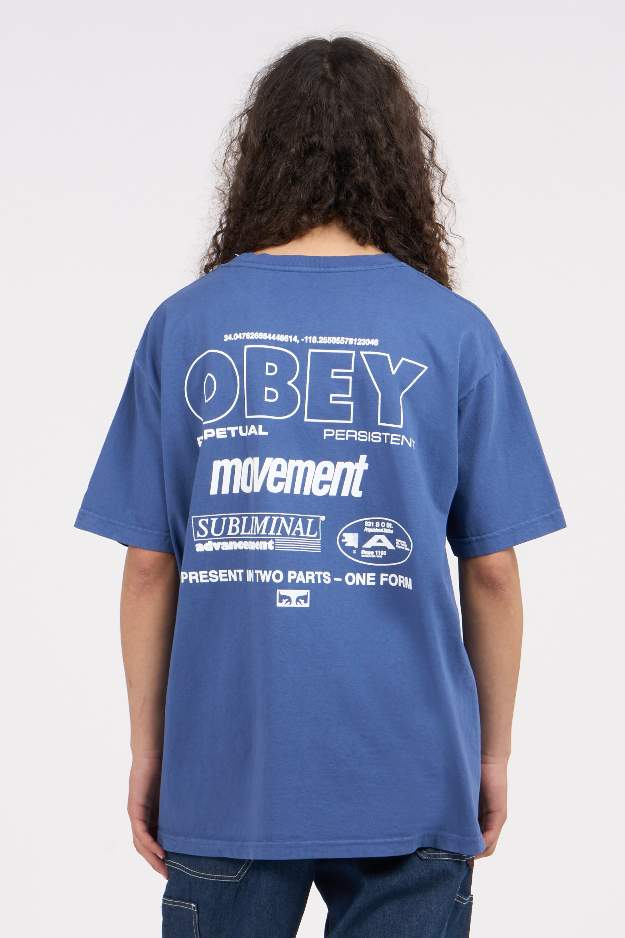 Regular-fit round-neck cotton T-shirt Blue