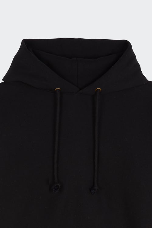 CHAMPION Hoodie Multicolore