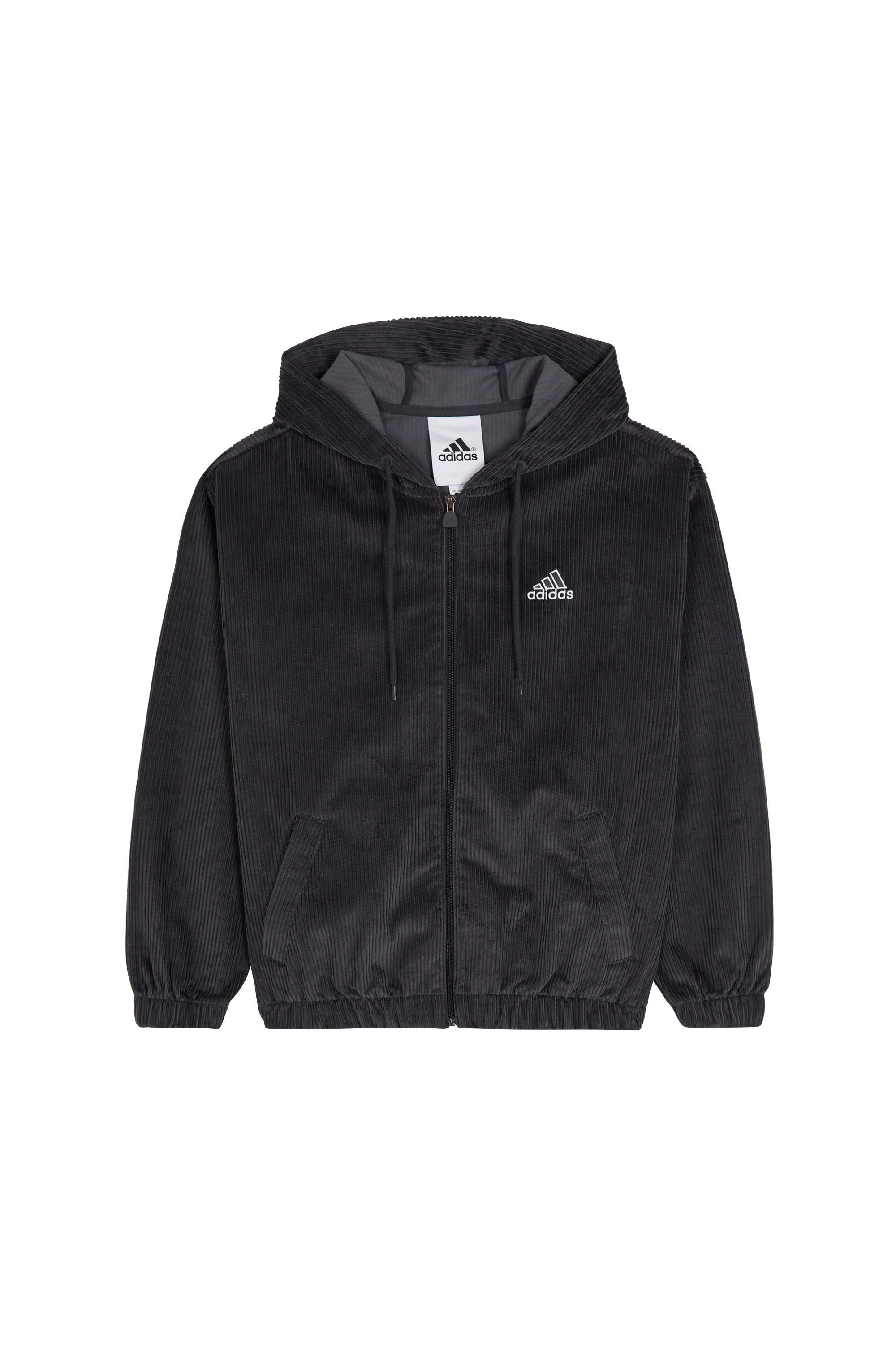 Veste Gris