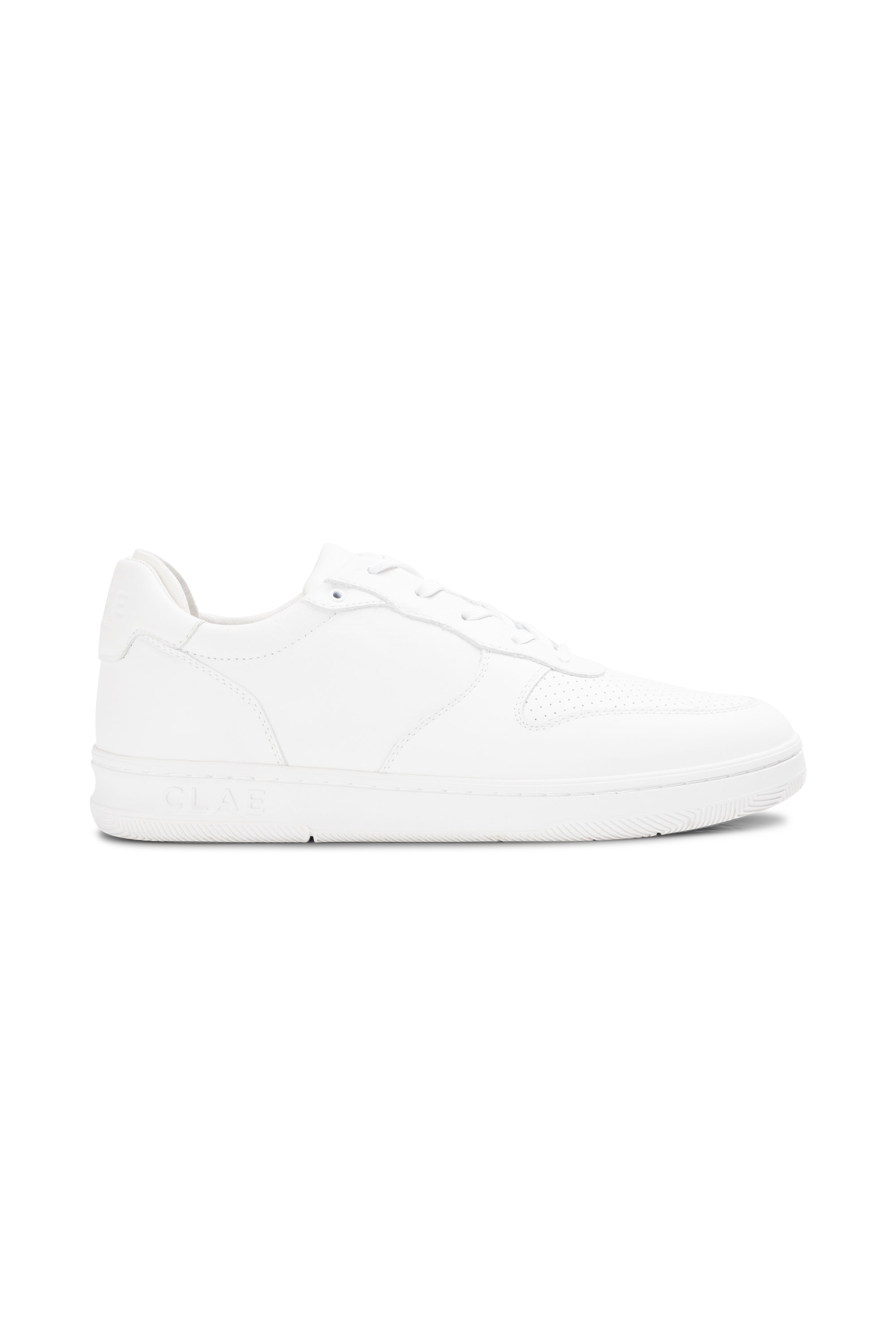 Low-top leather sneakers CLAE White