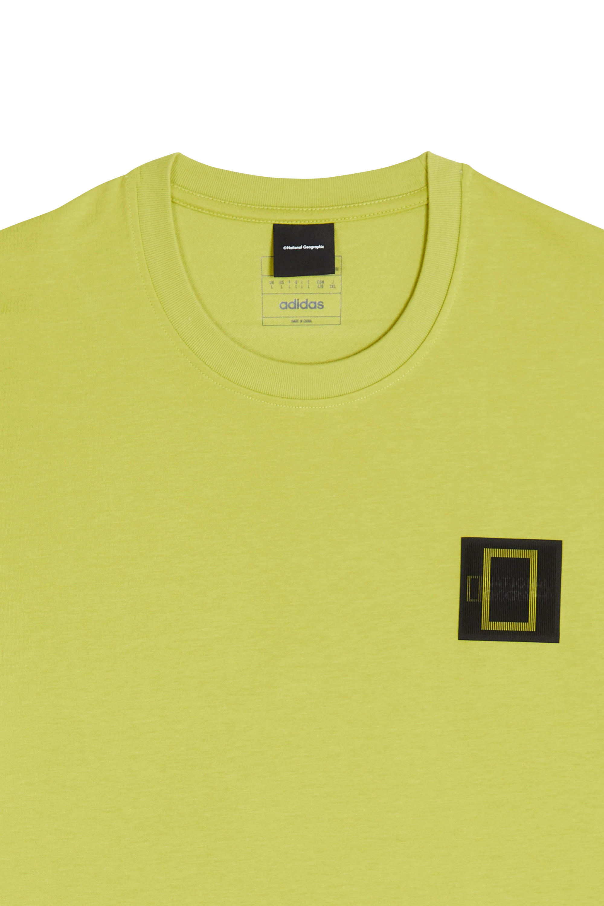 Regular-fit round-neck cotton T-shirt Green