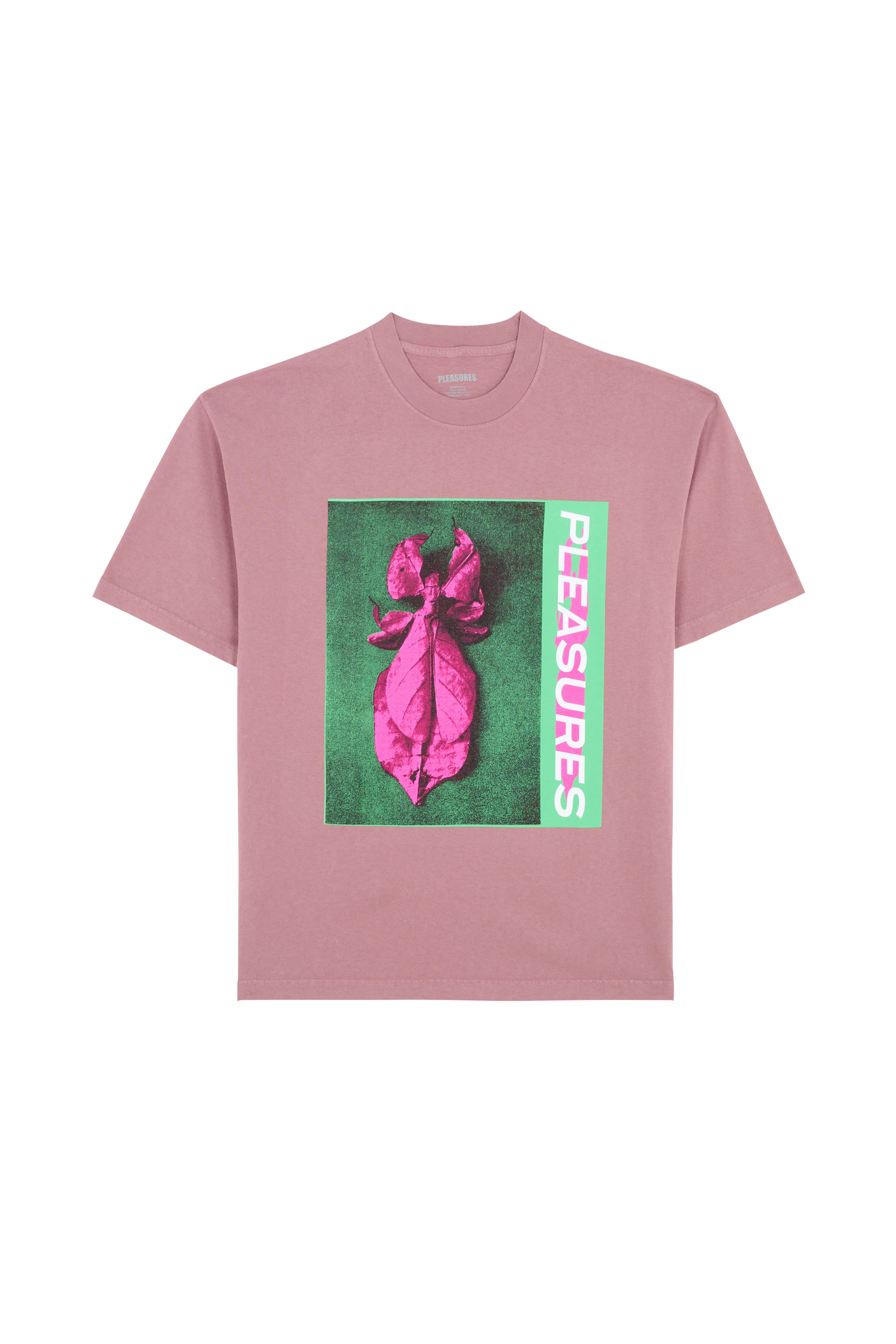 Regular-fit round-neck cotton T-shirt Purple