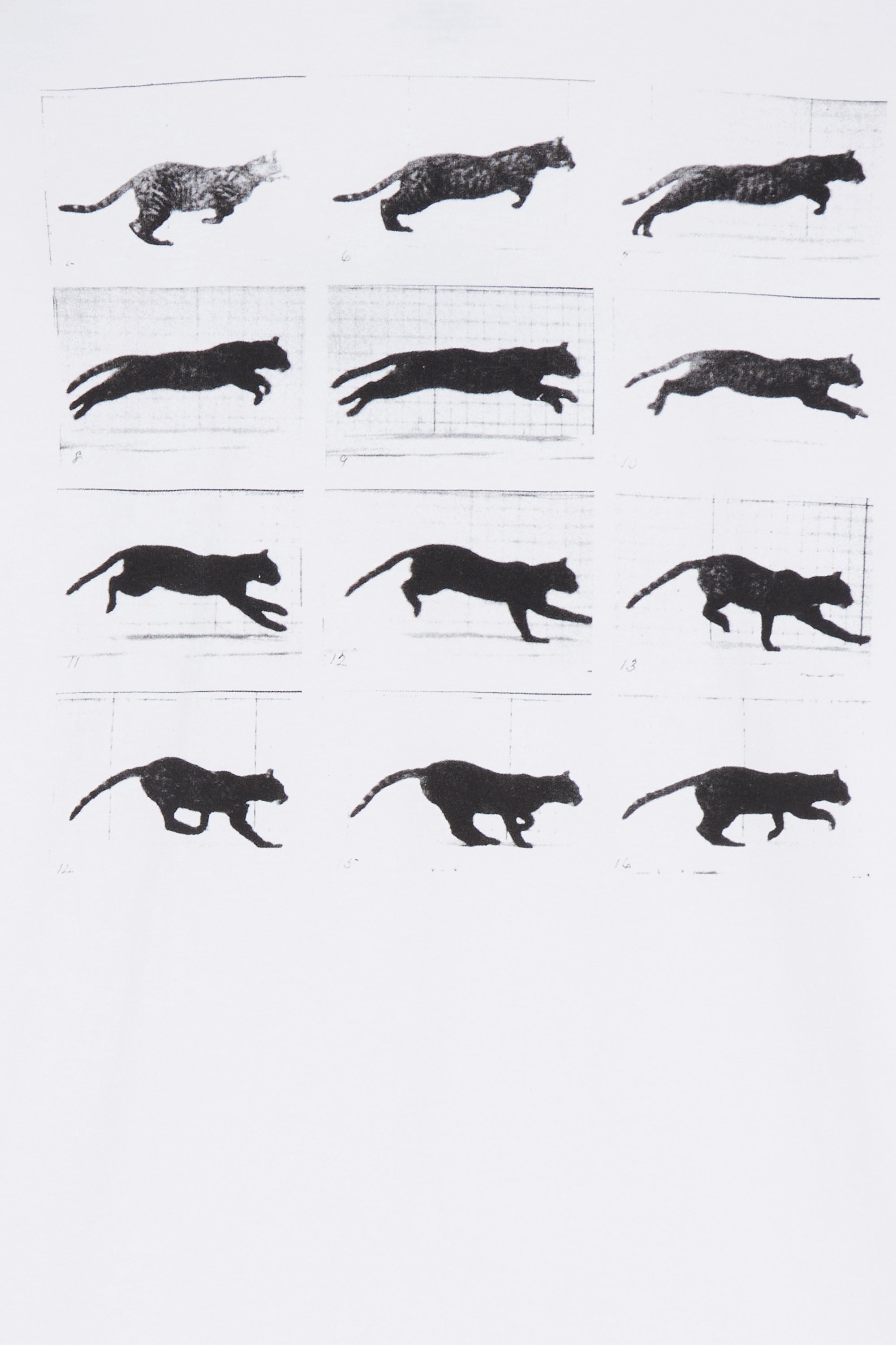 T-shirt | White by PLEASURES T-shirt White