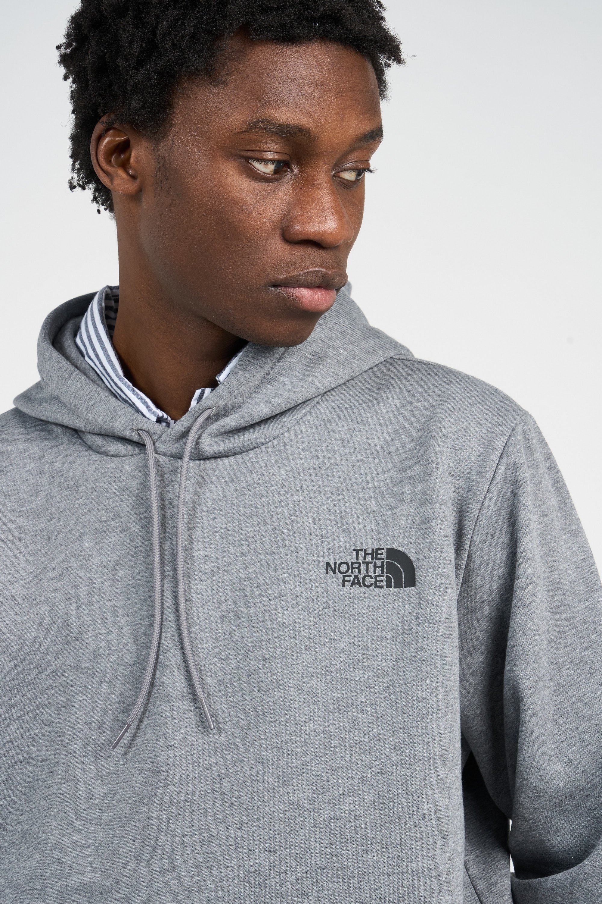 THE NORTH FACE Hoodie Gris