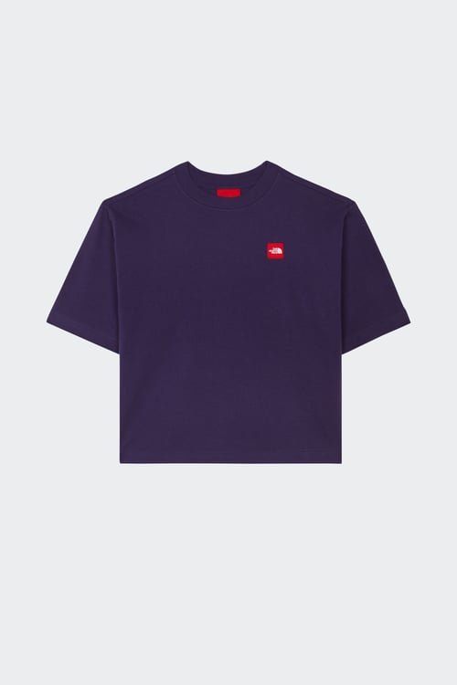 THE NORTH FACE T-shirt Bleu