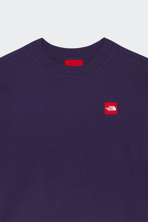 THE NORTH FACE T-shirt Bleu