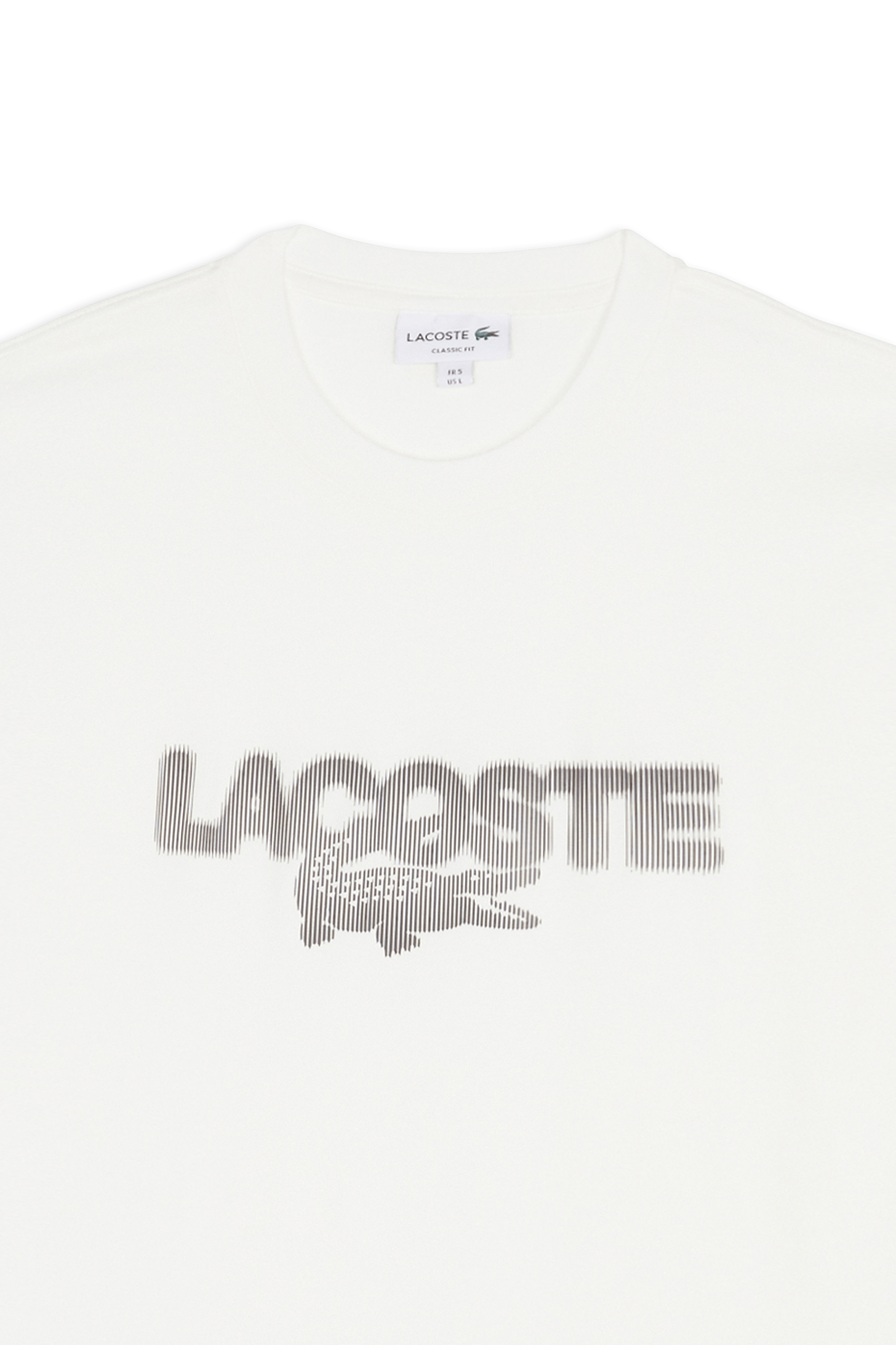 T-shirt | Blanc LACOSTE Homme