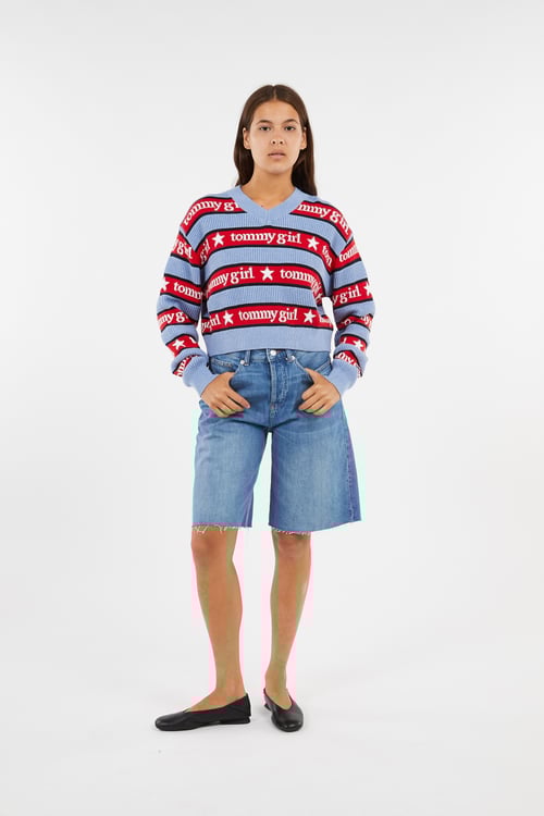 TOMMY JEANS Pull Bleu