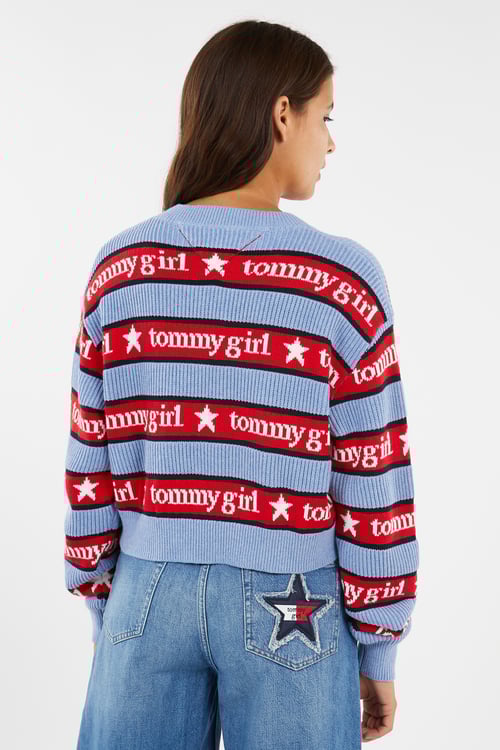 TOMMY JEANS Pull Bleu