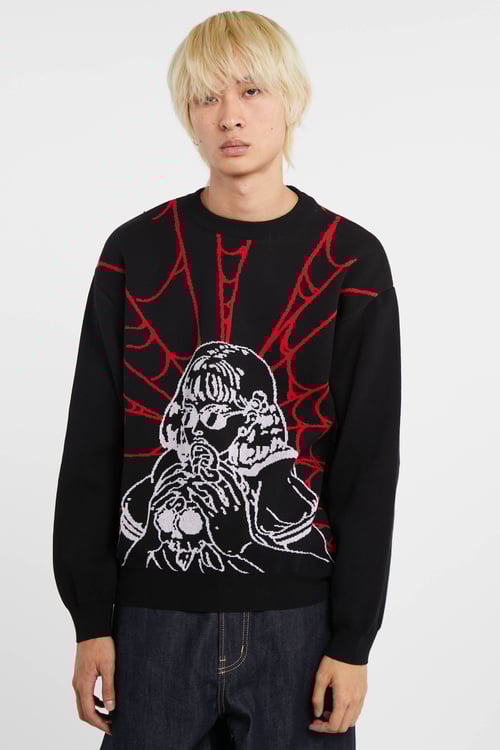 EDWIN Pull Noir