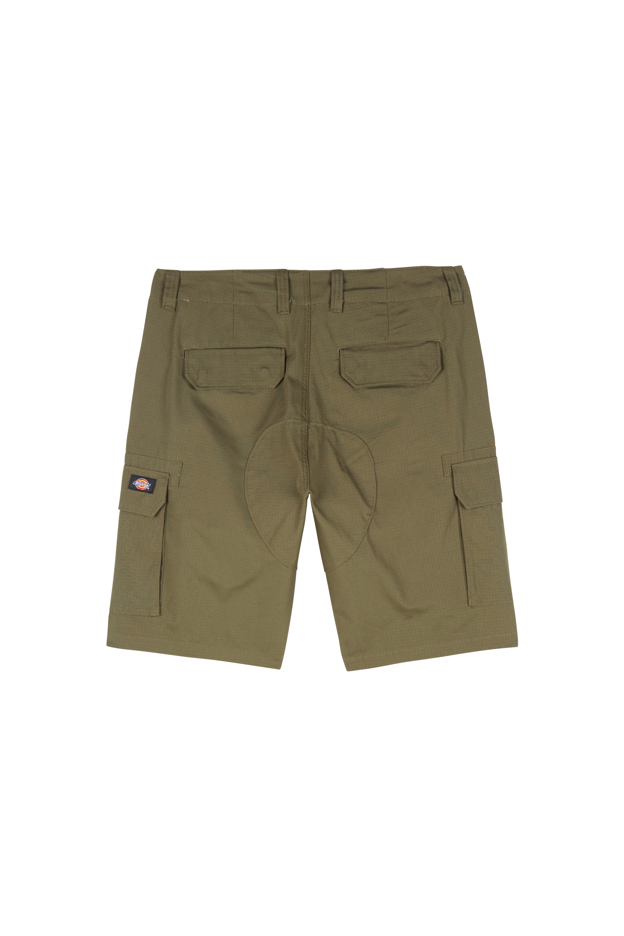 Short DICKIES Vert