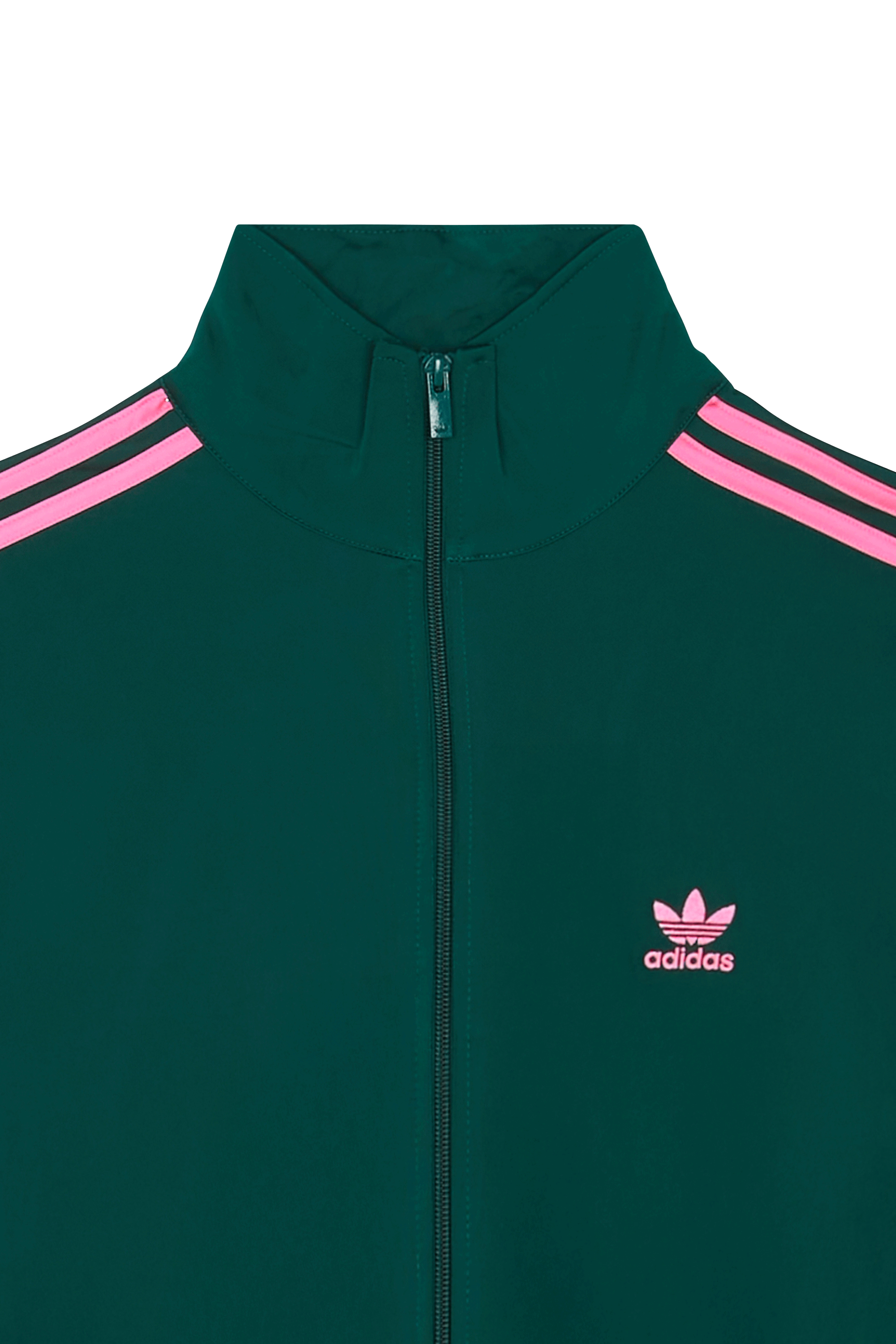 Veste Vert