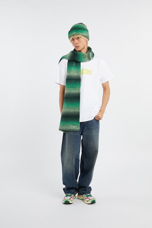 CARHARTT WIP Bonnet Vert