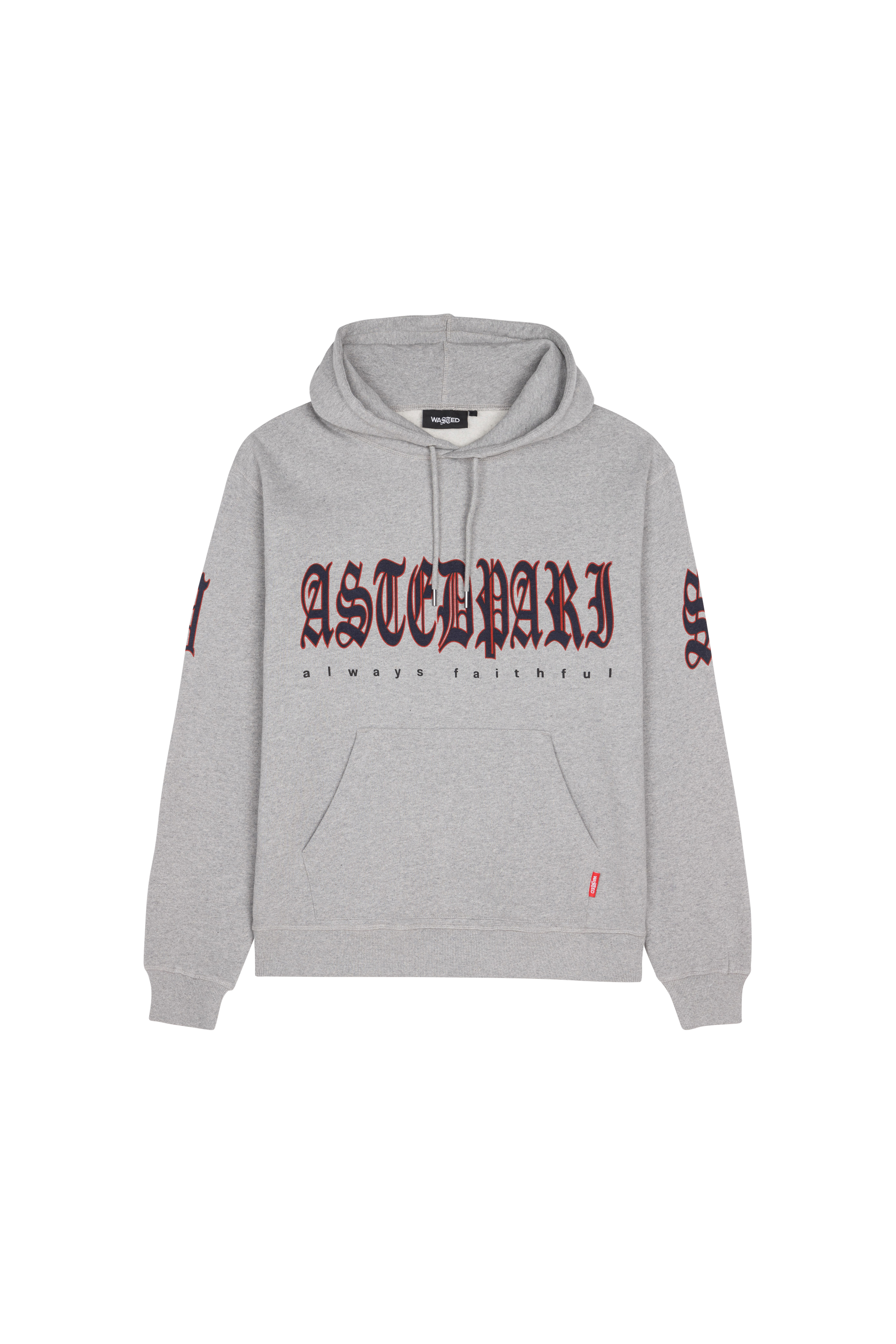 Hoodie  Gris