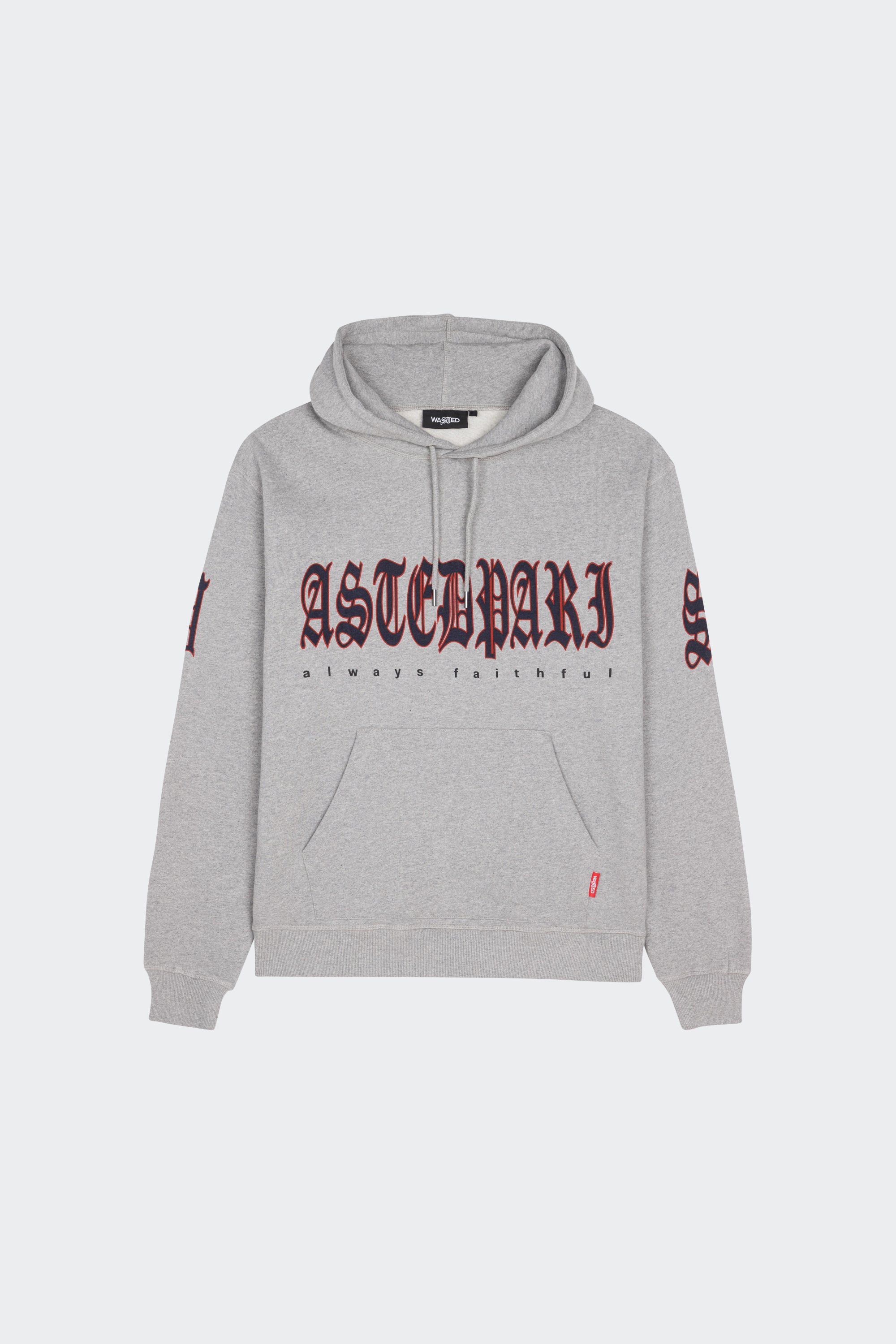 Hoodie  | Gris by WASTED Hoodie  Gris