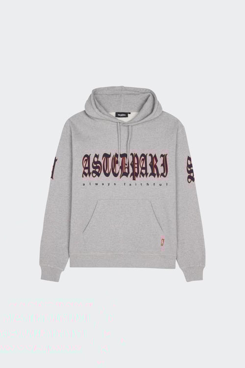 WASTED Hoodie  Gris